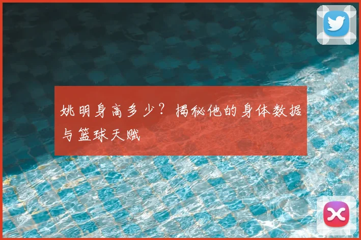 姚明身高多少？揭秘他的身体数据与篮球天赋