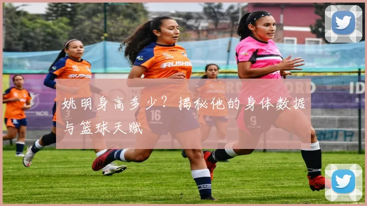 姚明身高多少？揭秘他的身体数据与篮球天赋