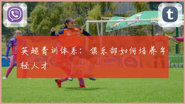 英超青训体系：俱乐部如何培养年轻人才