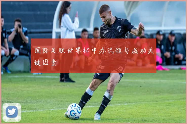 国际足联世界杯申办流程与成功关键因素
